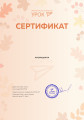 Диплом участника конкурса педагогического мастерства